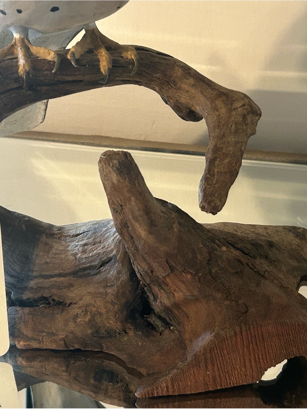 Kestrel Bird Carved by Artist Wendy Lichtensteiger. - Picture 5 of 7